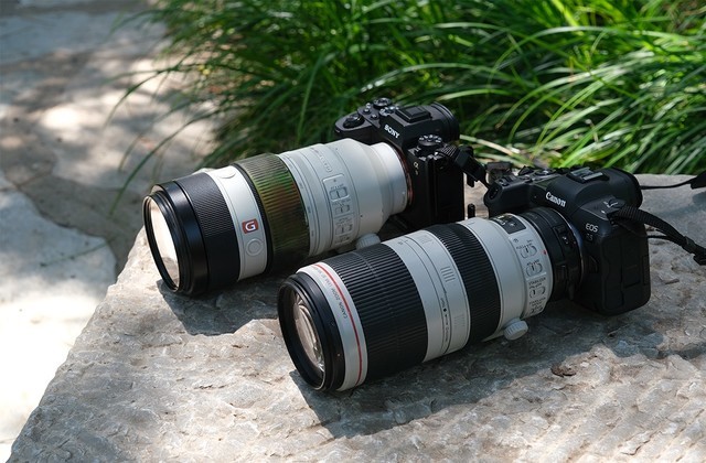 巅峰对决！EOS R5、A9 II谁是生态摄影利器 